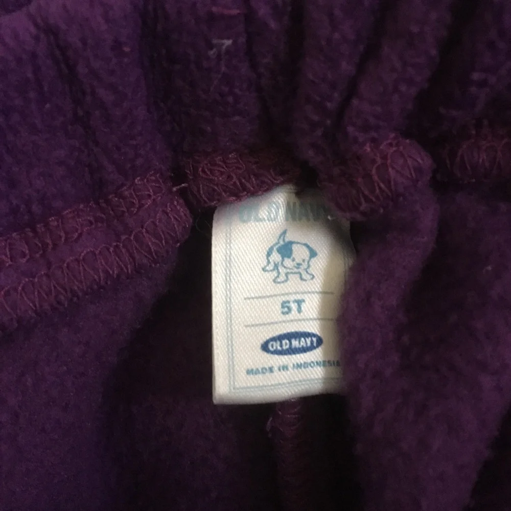 Kids Costume (5T) Flying Dragon 2 piece Purple Jacket and Pants Old Navy